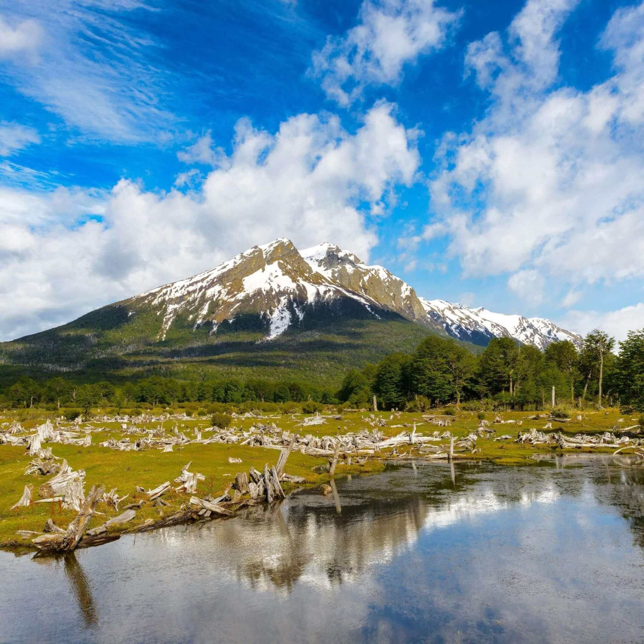 Excursão ao Parque Nacional Terra do Fogo + Trem do Fim do Mundo saindo de  Ushuaia