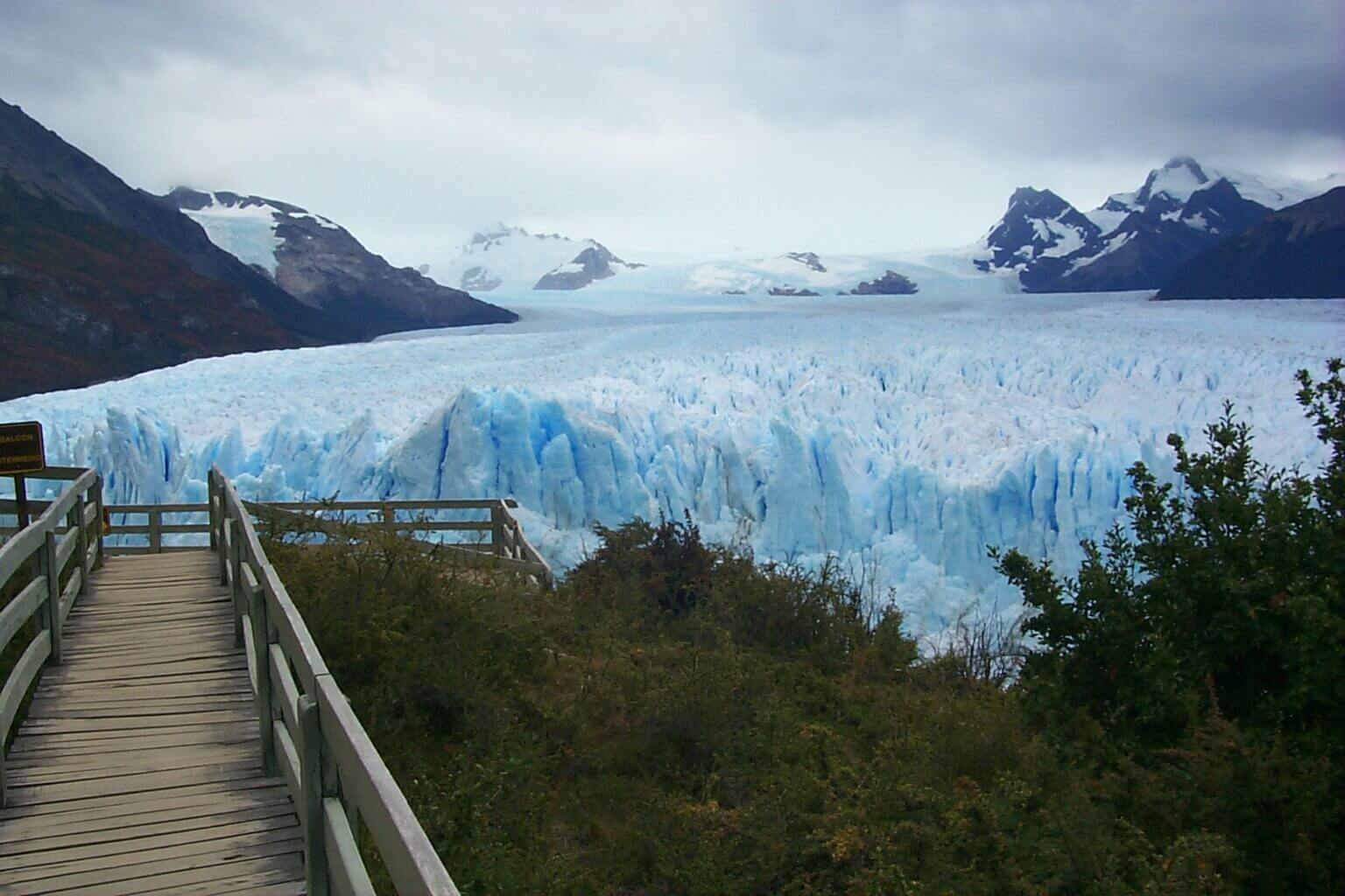 Estudo aponta que raça rara na Patagônia é parente mais próximo de