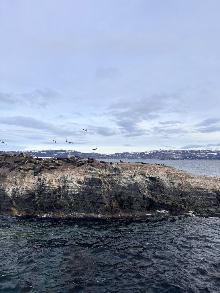 Ilhas que podem ser vistas durante a navegação do canal de Beagle