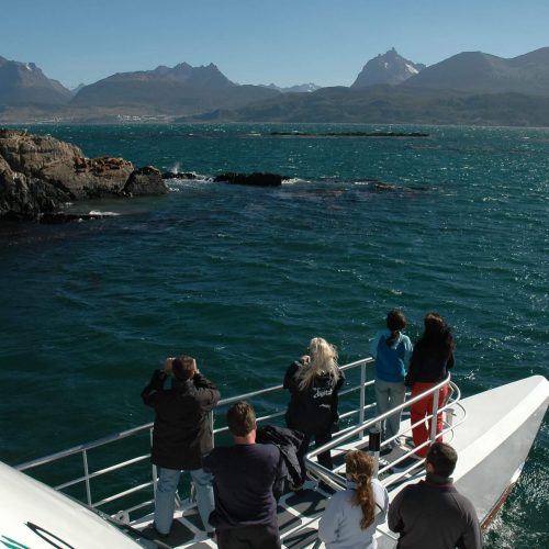 Vista Isla de los lobos 1