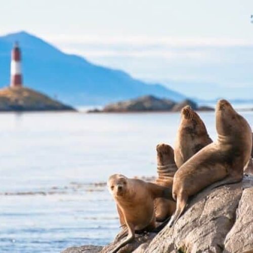 pop_4_020140917115350